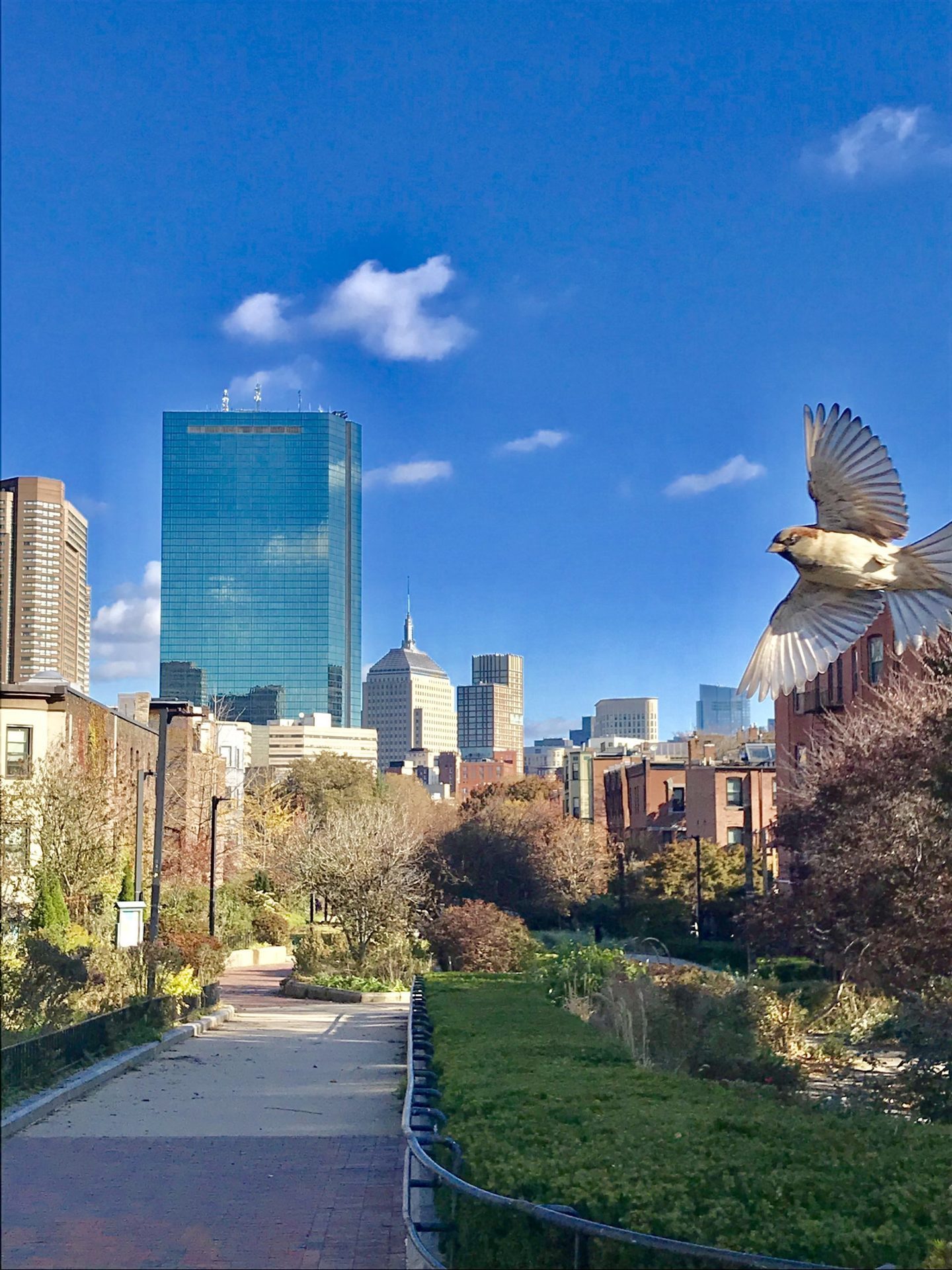 Austin might be getting an “Airbnb tower”