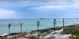 fyre festival merch fyre festival merch