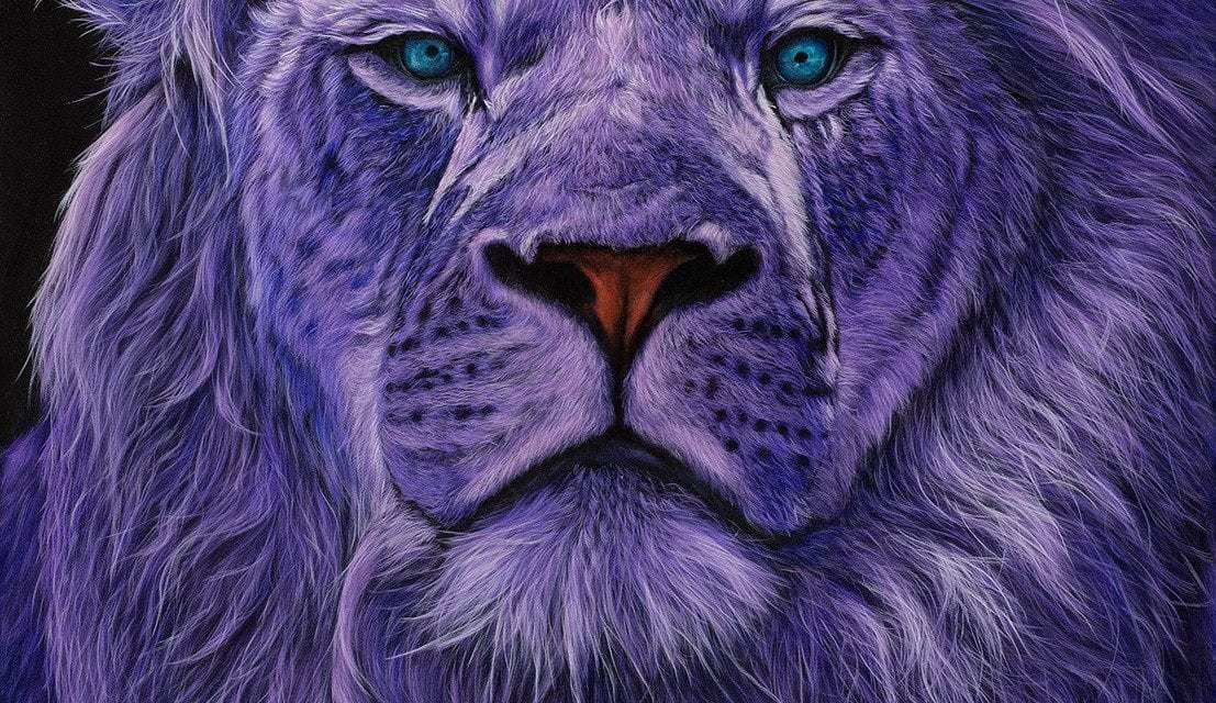 The Internet is loving on Helmut Koller's vivid animal portraits - Grit ...