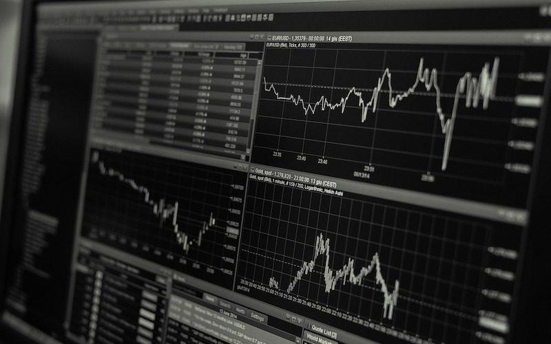 365 Cannabis: How They Revolutionized Seed-to-Sale Software