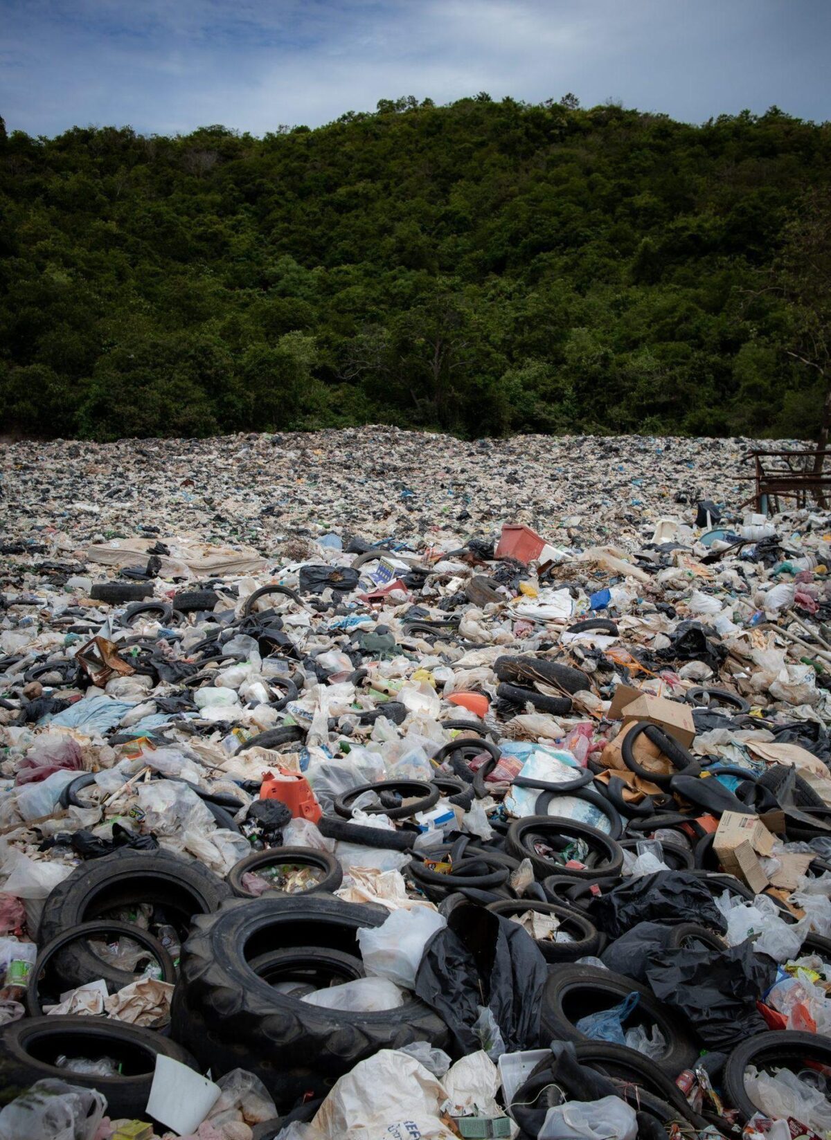 This hackathon wants to break a world record while building solutions to save the planet