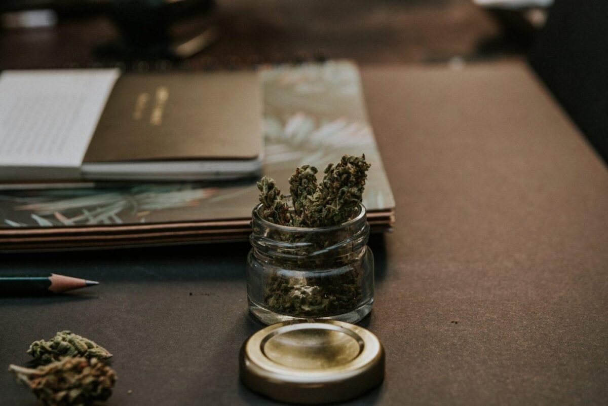 legal cannabis cafe legal cannabis cafe