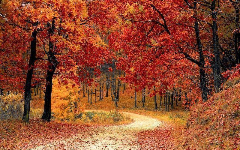 Fall Gear Guide: 10 Products You Need to Check Out This Fall