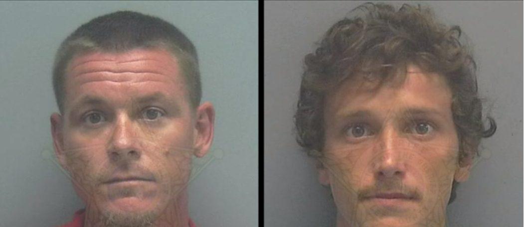 Meanwhile In Florida: Apparently You Can Be Arrested for Trafficking…Turtles