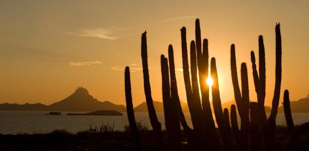 Why The Mormon Community Is Upset About The Family Murdered In Mexico