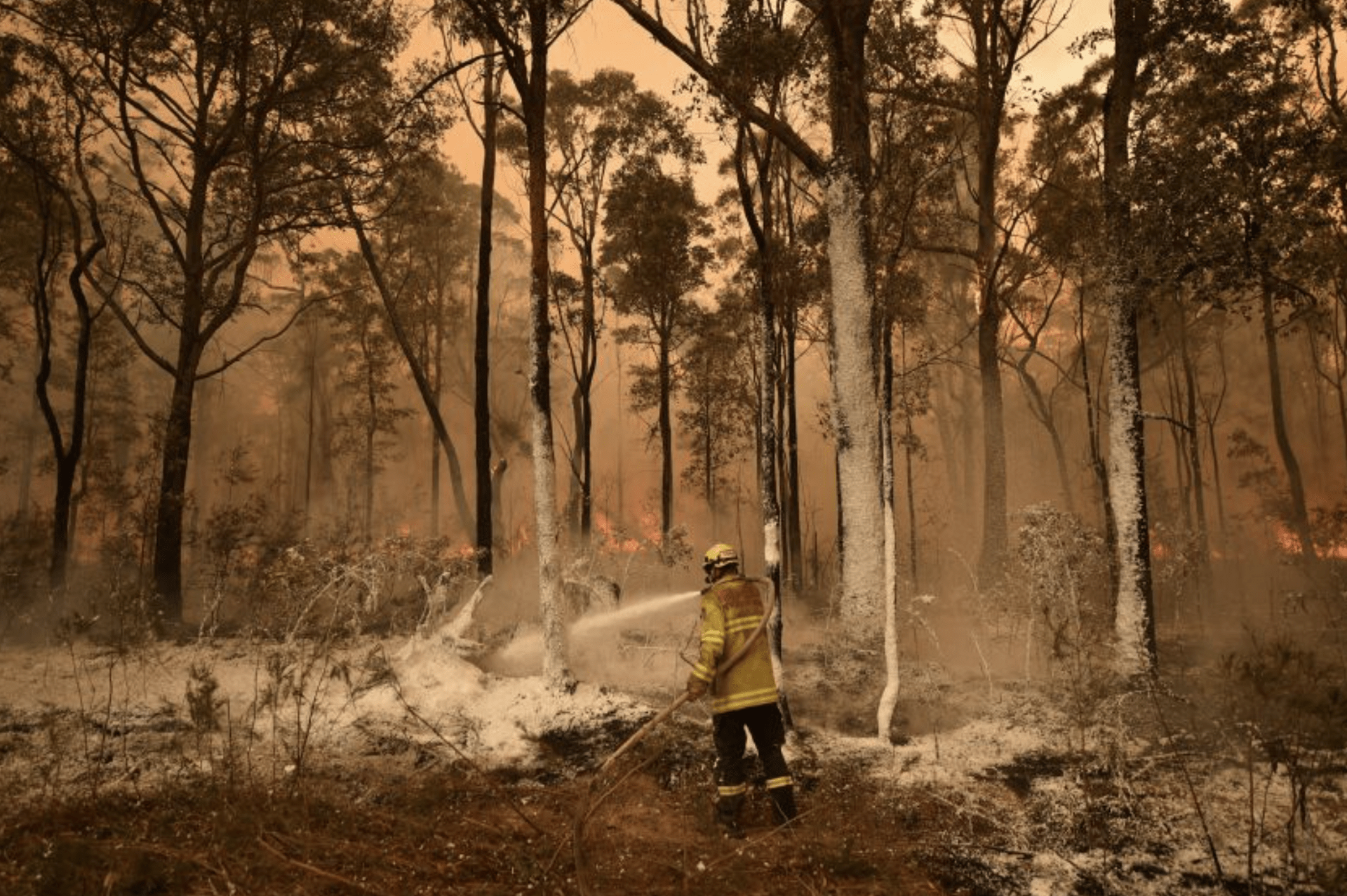 California Firefighters Help Australia Battle BushFires