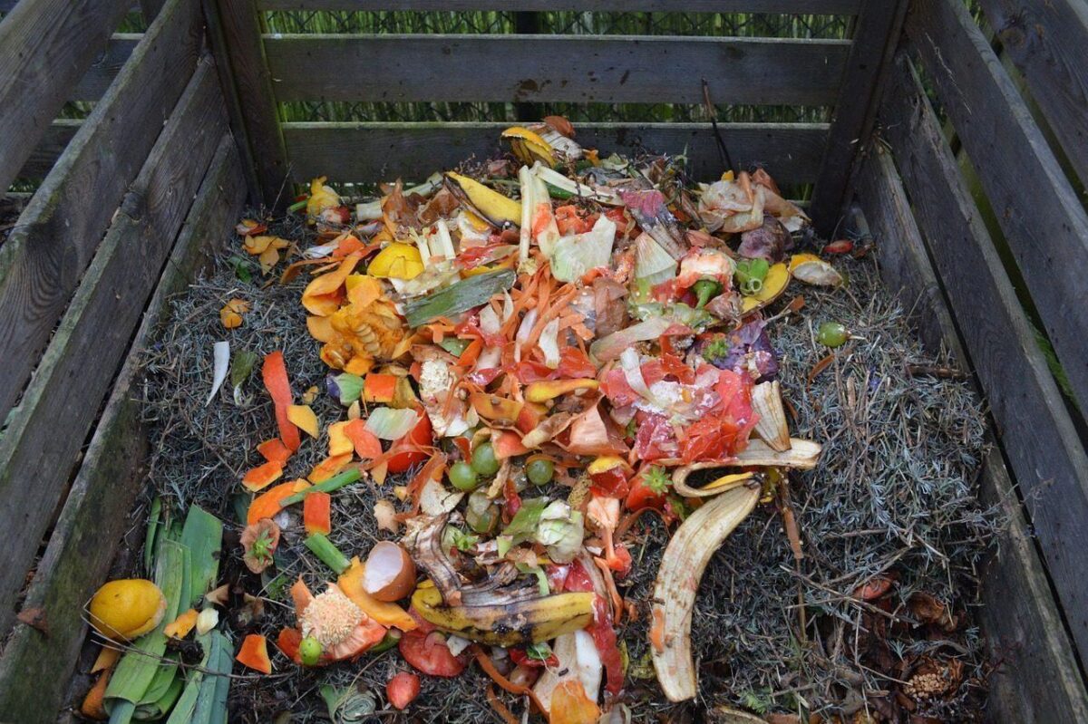As Food Waste Increases Globally, Here Is What You Need To Know