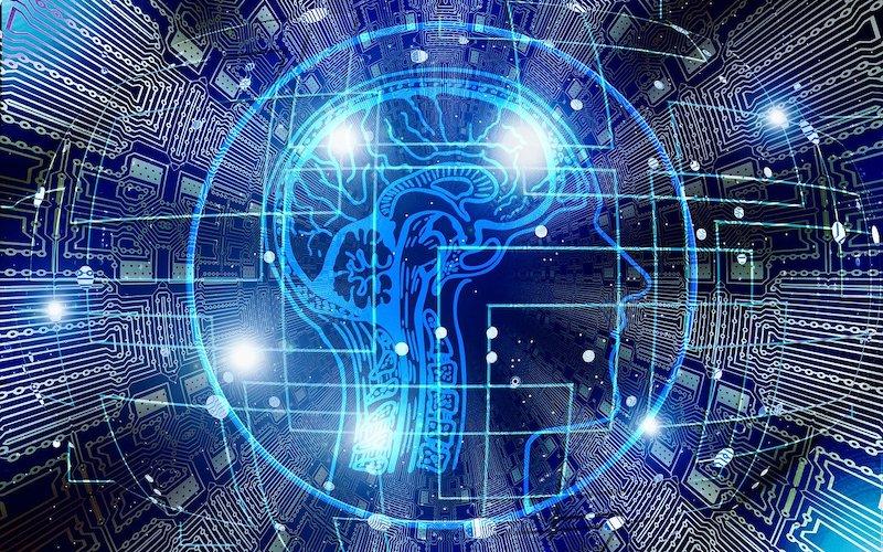 The Human Brain is Both a Liability and Asset for Cybersecurity: Here’s Why