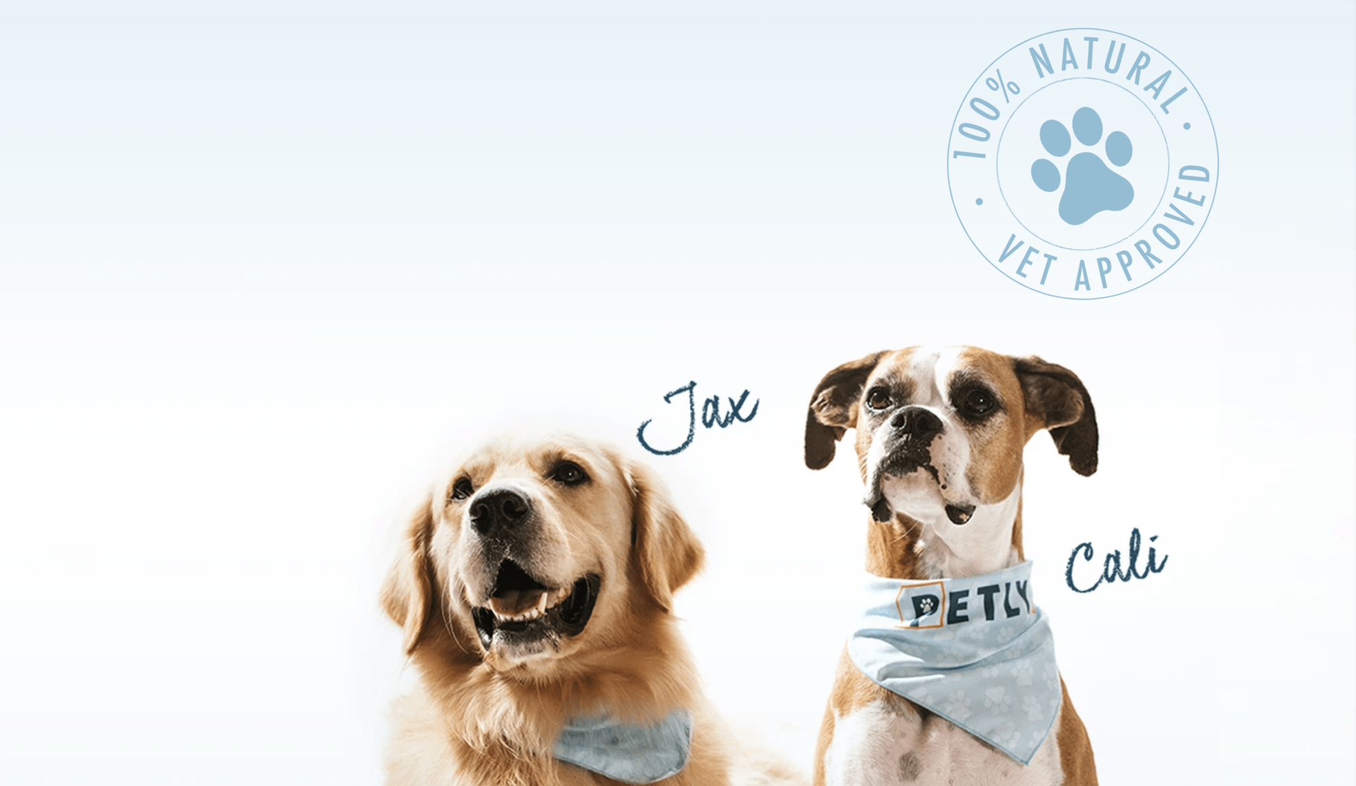 CBD Pet Chews That Will Make Your Pup So Happy