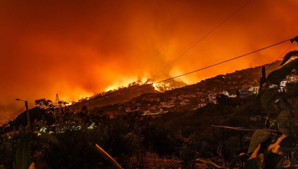 The Latest California Wildfire Was Started By A Gender Reveal Party