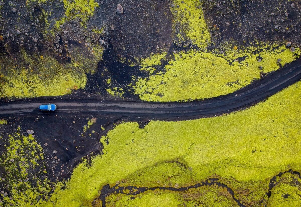 Looking at the California Ban on Gas Cars