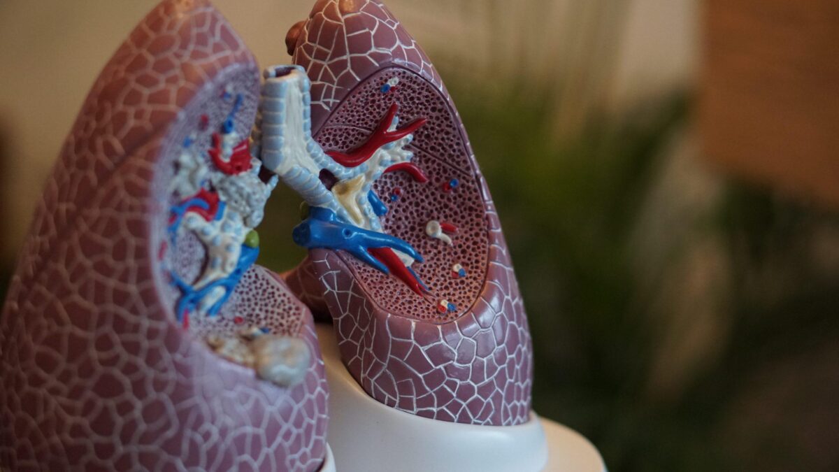 ResBiotic Raises .5 mln in Seed Funding To Improve The Treatment of Chronic Respiratory Illnesses