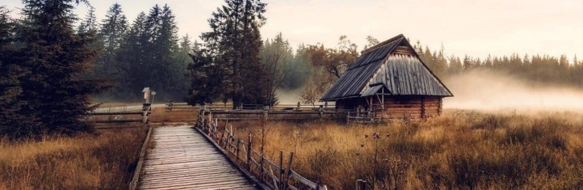 Delos Raises .3M to Help California Homeowners Insure Against Wildfires