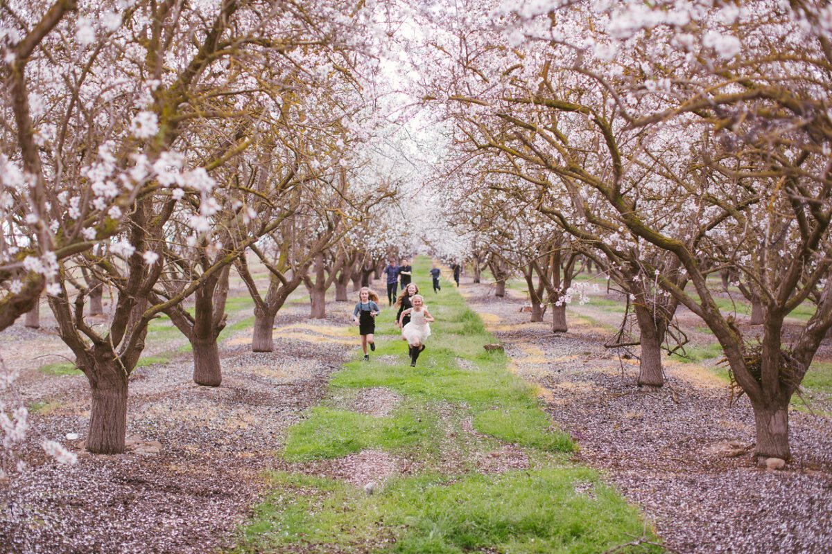 Fourth-Generation Organic Almond Farmer Matt Billings Talks About AYO Almondmilk Yogurt and Farming in a Mega-Drought