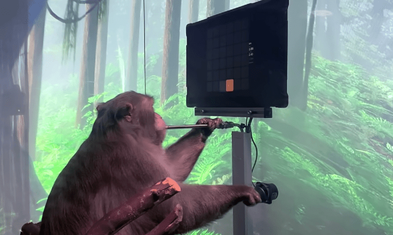 Neuralink animal testing and human testing