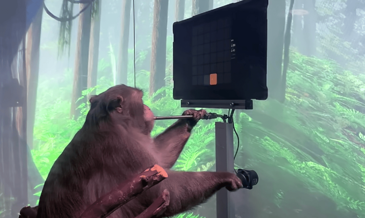 Neuralink Animal Testing Leads to Needless Deaths. Will Humans Be Next?
