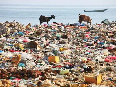 plastic pollution plastic pollution