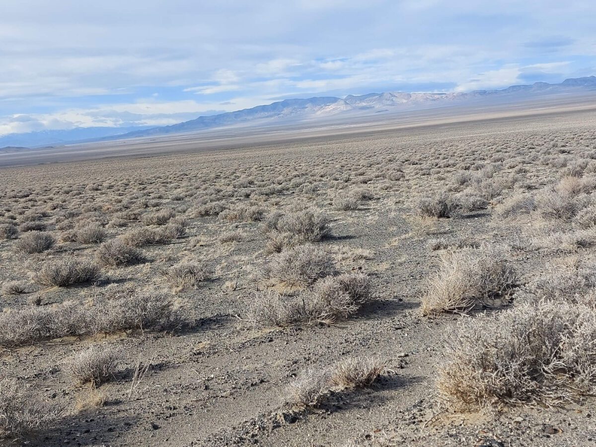 EV Makers Are In A ‘Musical Chairs’ Scramble for Lithium Made in America