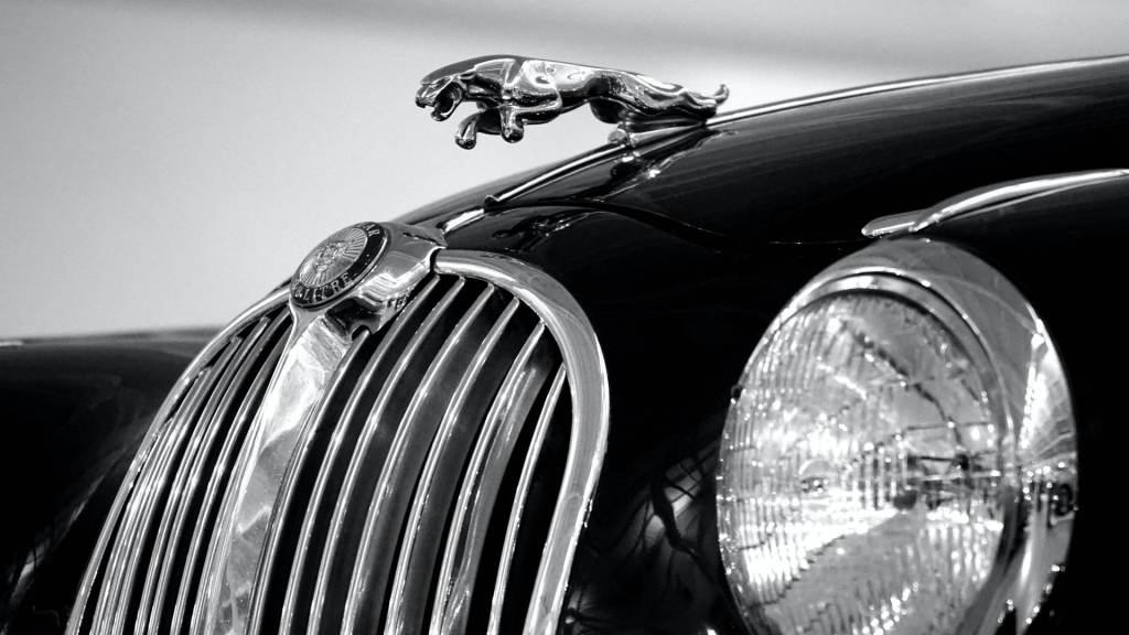 Who Owns Jaguar?
