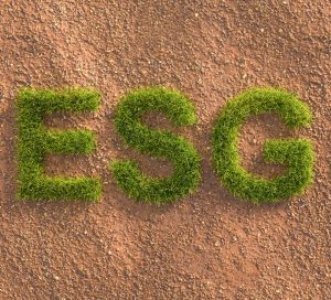 Plants spell ESG on a background of sandy soil Plants spell ESG on a background of sandy soil