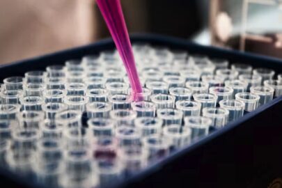 Pharma Giants Invest: Moderna and Pfizer CEO & Parent Back 0 Million Drug Discovery Project