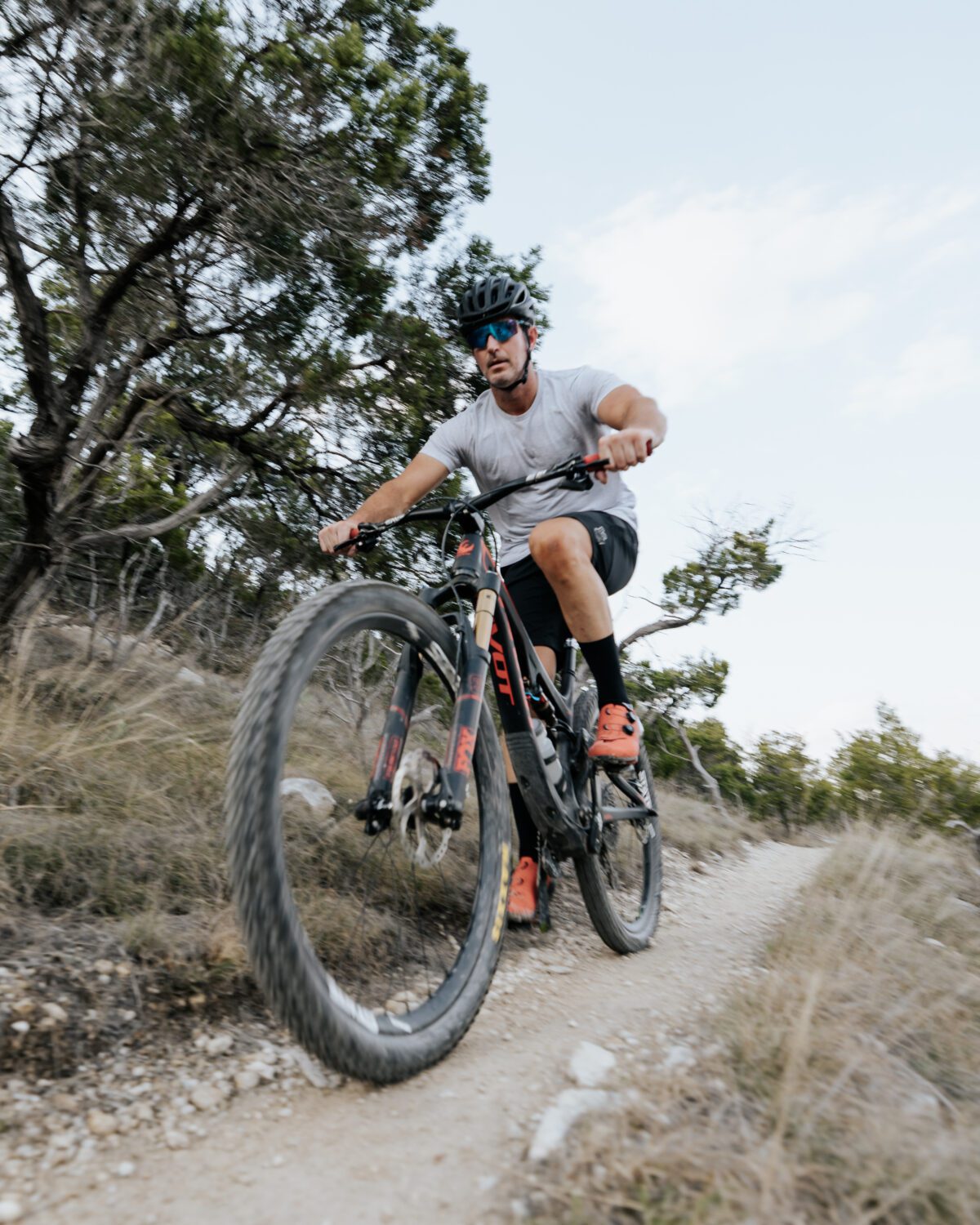 Wellcore hormone replacement therapy Wellcore hormone replacement therapy