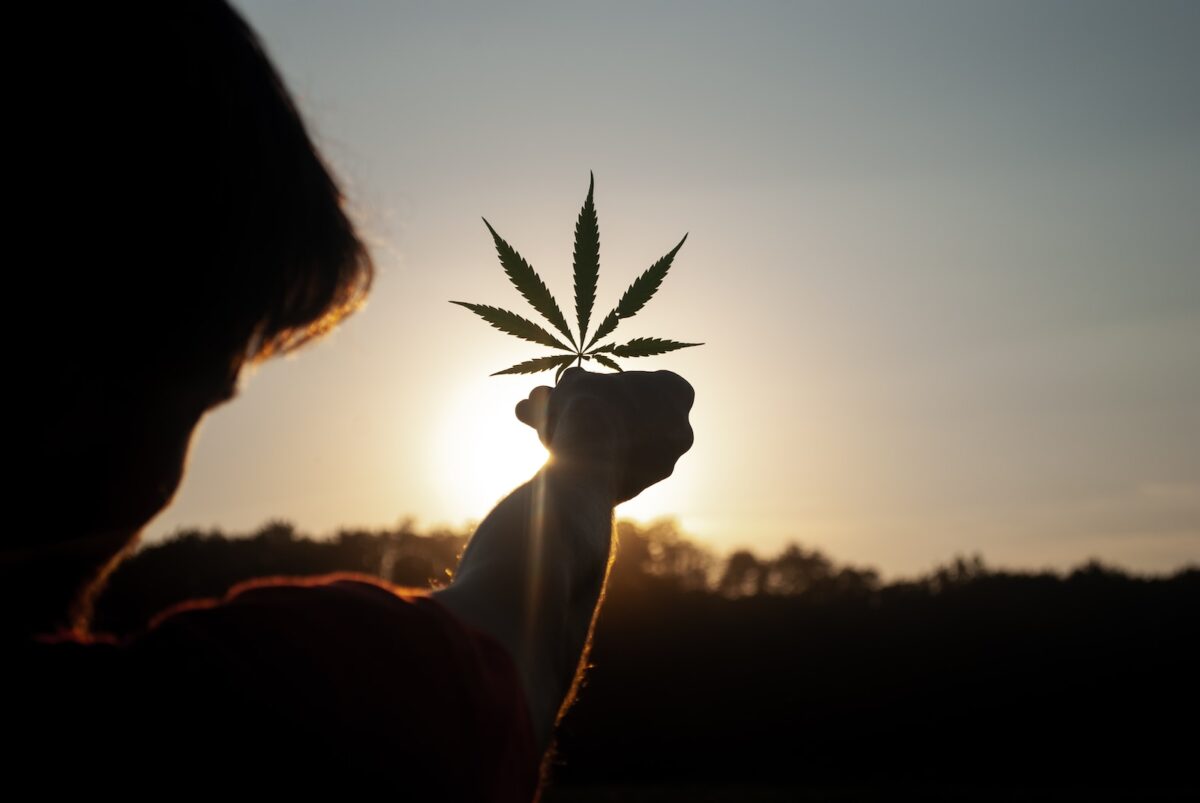 Cannabis and concentration Cannabis and concentration