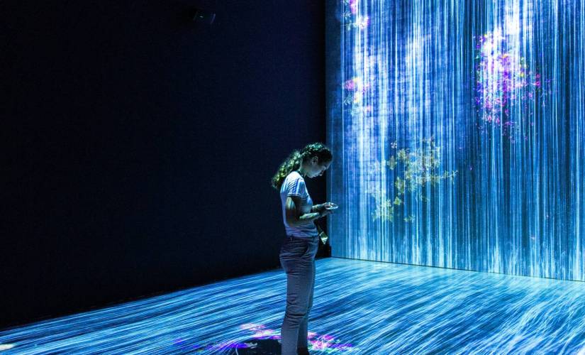 Protect AI machine learning safeguard