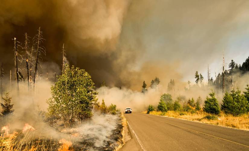 AI Is the New Firefighter: How California Is Using Technology to Prevent Wildfires
