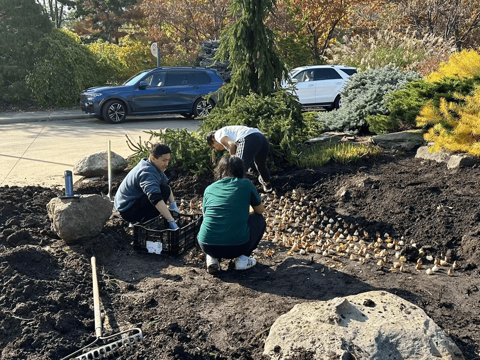 LittleBigGreen: Championing Environmental Change