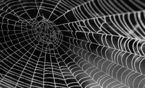 FBI Exposes Scattered Spider’s Alliance