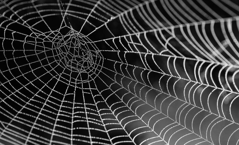 FBI Exposes Scattered Spider’s Alliance with Notorious Ransomware Gang