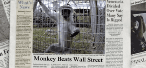 Monkey beats wall street Monkey beats wall street