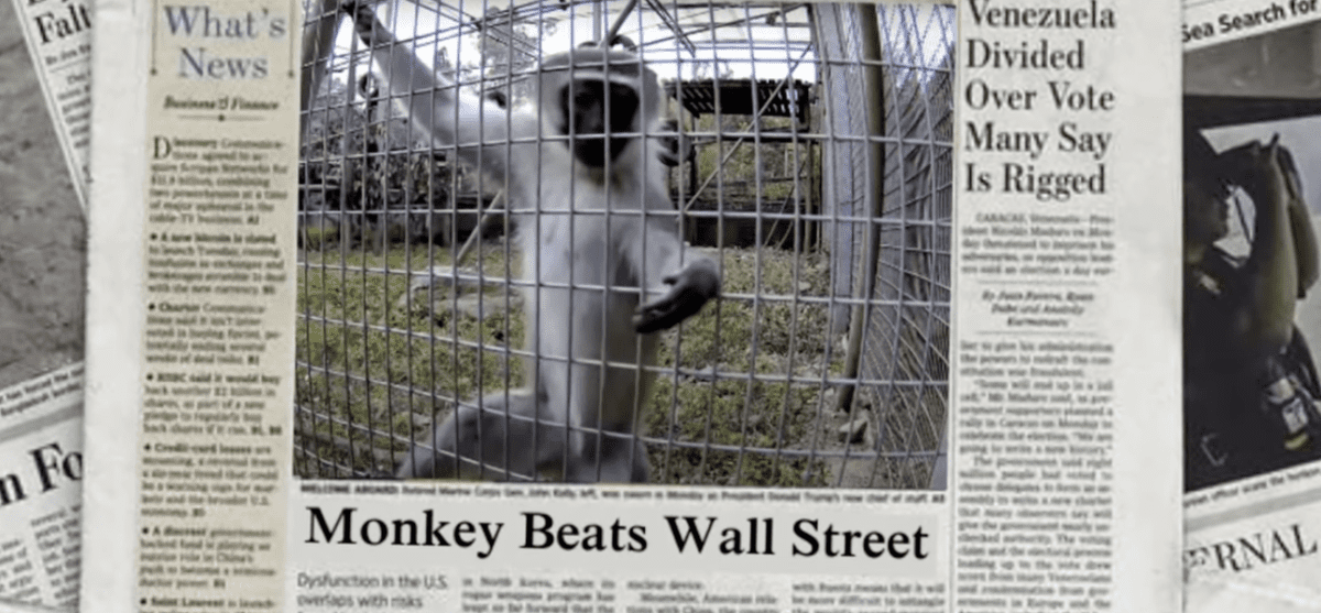 A Stockpicking Monkey Makes the new Memecoin