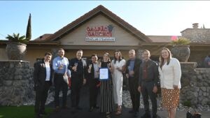 Rafaela Bartholomeu Is Combining Innovation with Tradition in Marketing