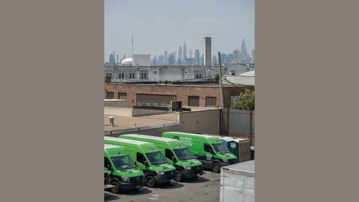 Running a Small Business Under Trump A Look Back at Growth and What’s Next with Dumbo Moving