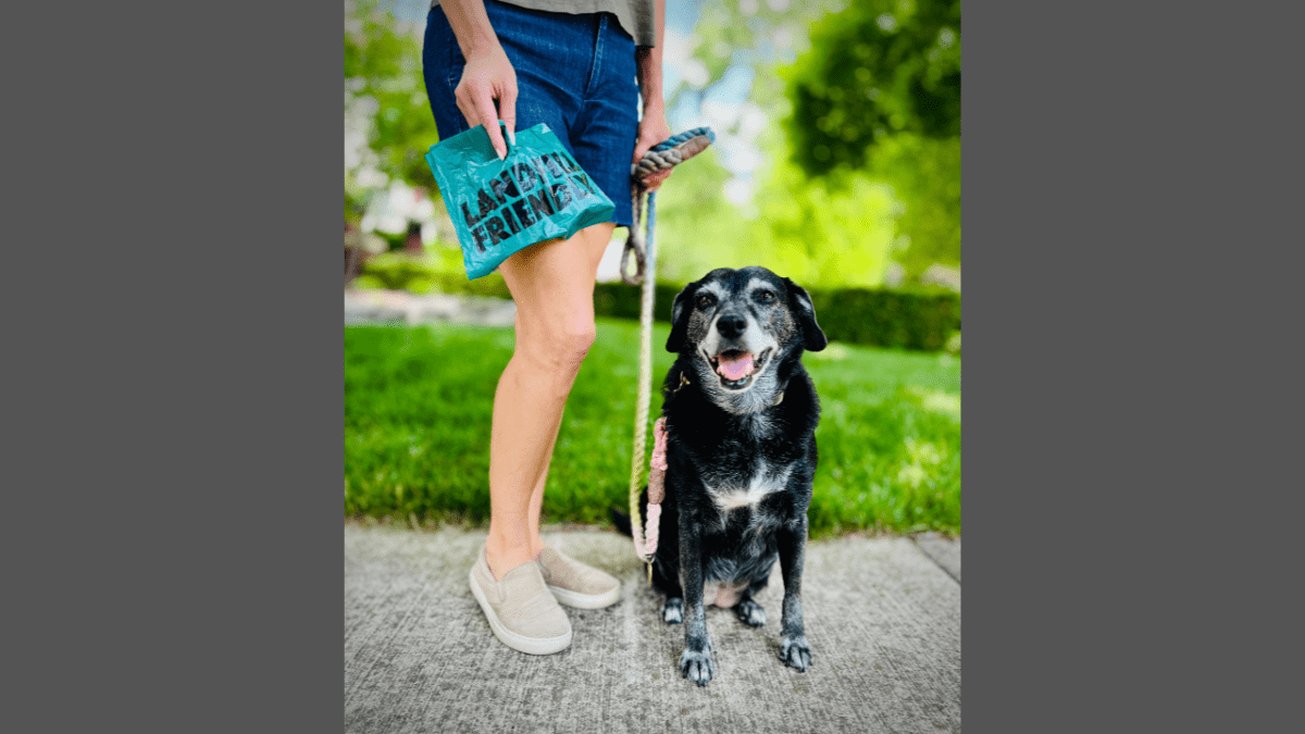 The Hidden Environmental Impact of Dog Waste Bags