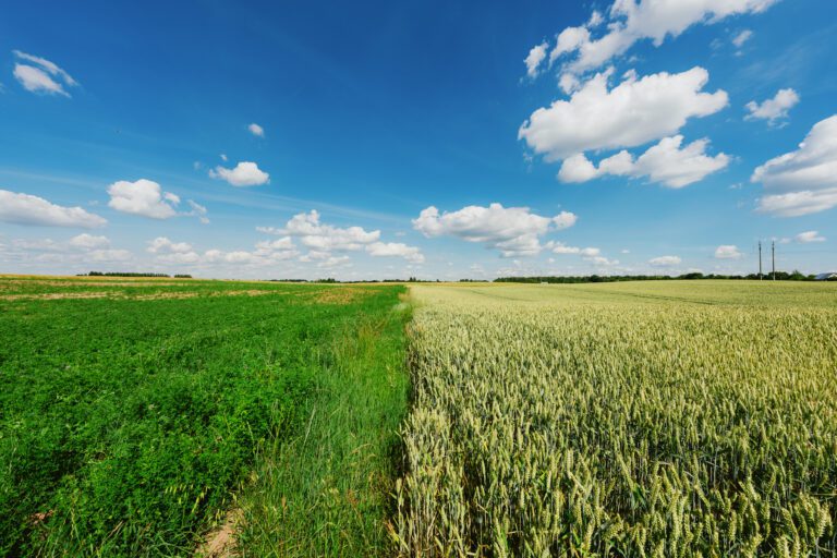 Agreena Achieves Verra Registration Landmark for Soil Carbon Market