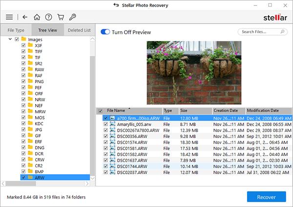 Stellar Photo Recovery
