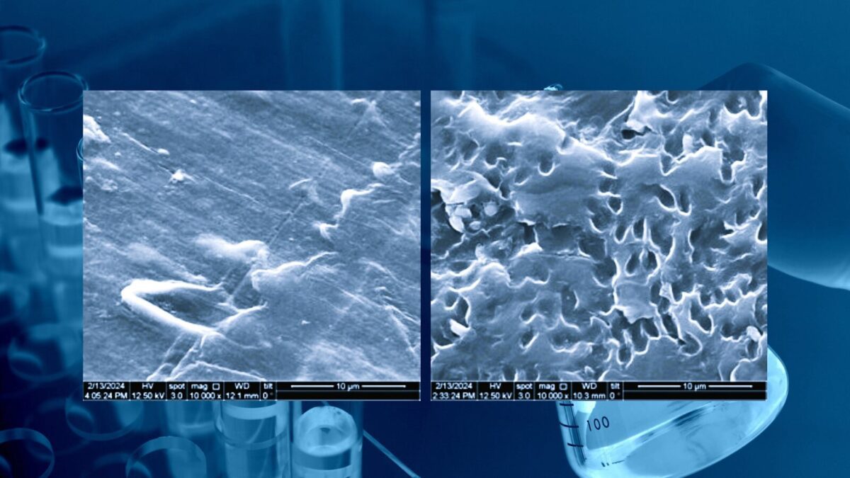 How Japanese Scientists Cracked the Code to Biodegradable Plastic