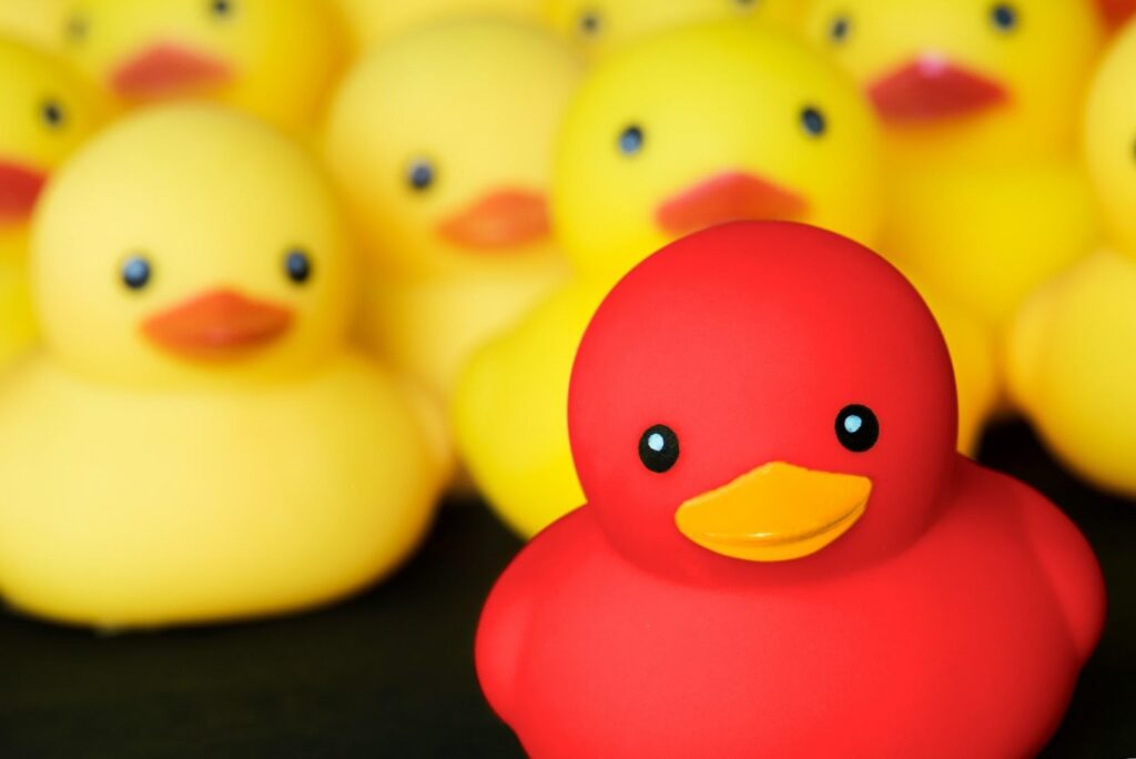 A standout red rubber duck surrounded by yellow ducks, symbolizing Darren and
Mike’s mission to empower underdogs in the online business world by helping them stand out
and achieve success.