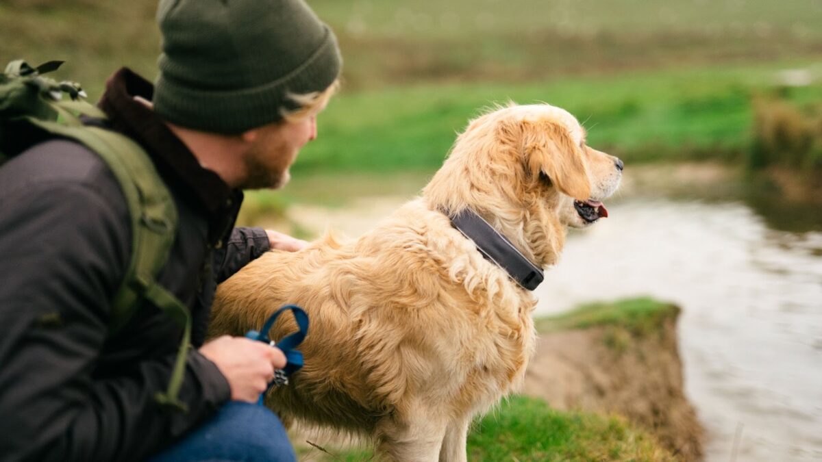 Is Your Dog Smarter Than Your Smartwatch? SATELLAI Thinks It Should Be