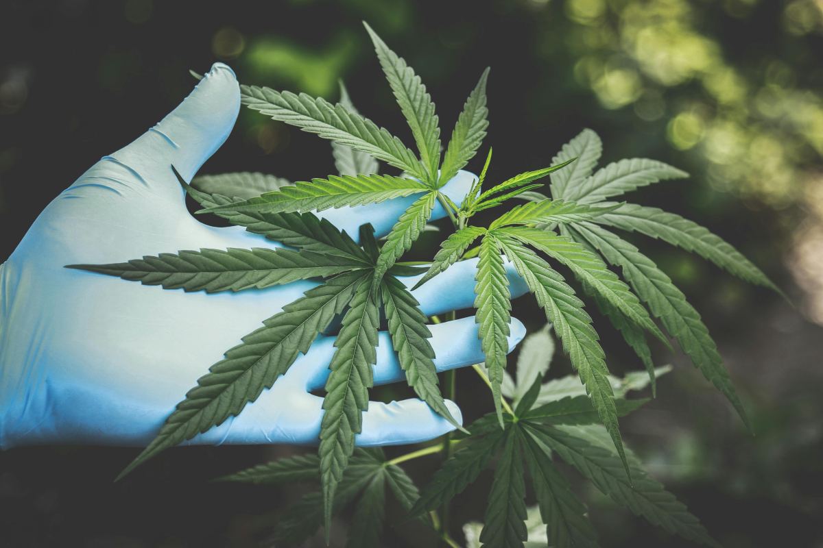 Remedy Room: A Dispensary Committed to Creating Positive Community Change