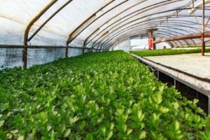 Asia Biologicals Asia Biologicals