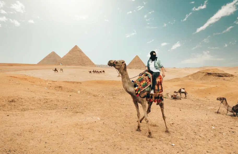 Why Book Egypt Tours with a Travel Agency Instead of Going Solo