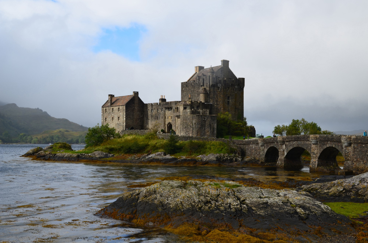 Healing Through the Highlands: The Outlander Effect Meets Holistic Medicine