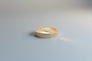 Single brass compass with a green leaf-shaped needle on a soft neutral background, symbolizing purpose-driven leadership.
