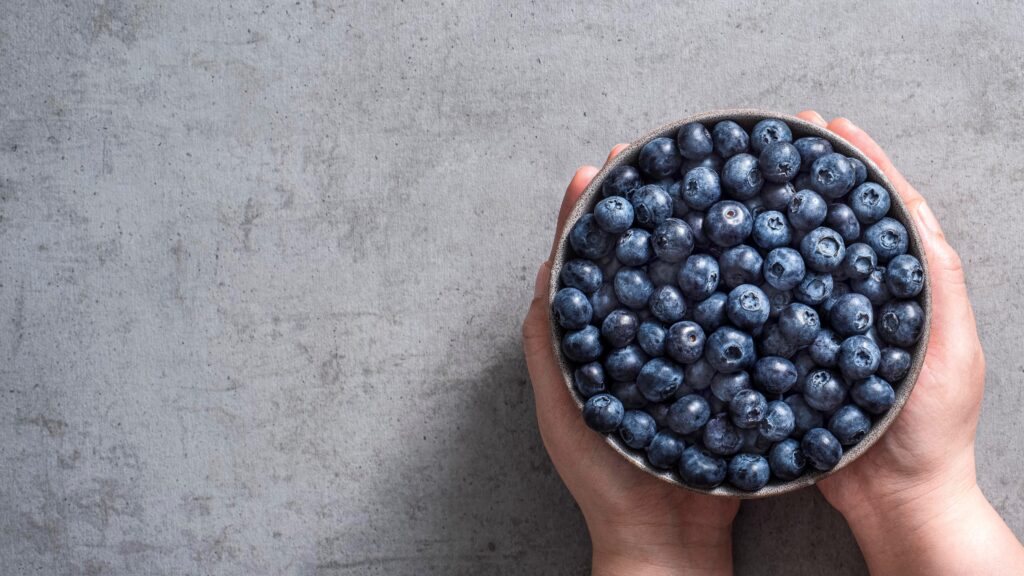 Inside the Blueberry Boost Accelerator: Why Startups Are Betting Big on Blueberries