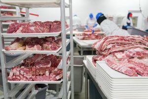 A meat processing facility with workers handling meat cuts on trays, demonstrating industrial food production