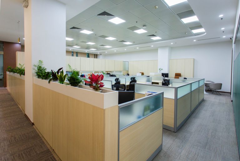 An open office with cubicles and plants